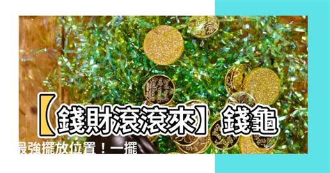 錢龜擺放位置|錢龜怎麼處理？招財納富祕訣大公開！ 